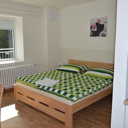 Penzion Havelka Apartmany Železná Ruda Zewnętrze zdjęcie